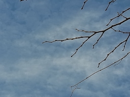 e0155085_18253280.jpg