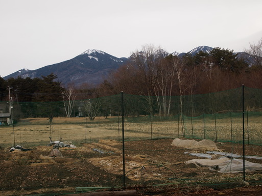 e0008887_20564830.jpg