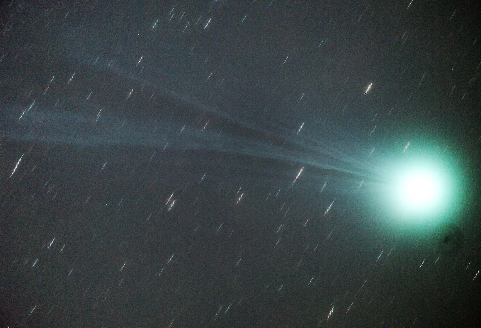 2015年1月12日のラブジョイ彗星_e0174091_21454299.jpg