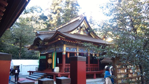 初参りとだるま市_c0066693_8452578.jpg