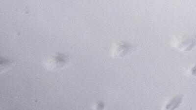 d0174598_1645831.jpg