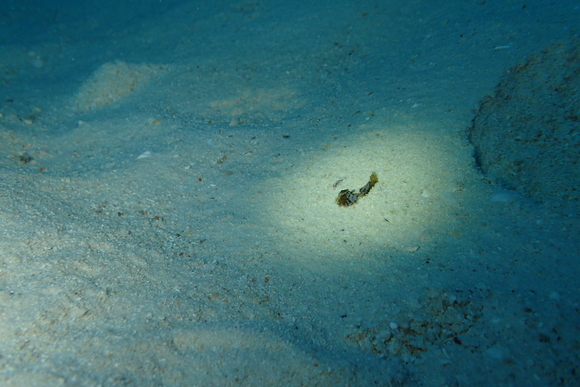f0121701_163012100.jpg