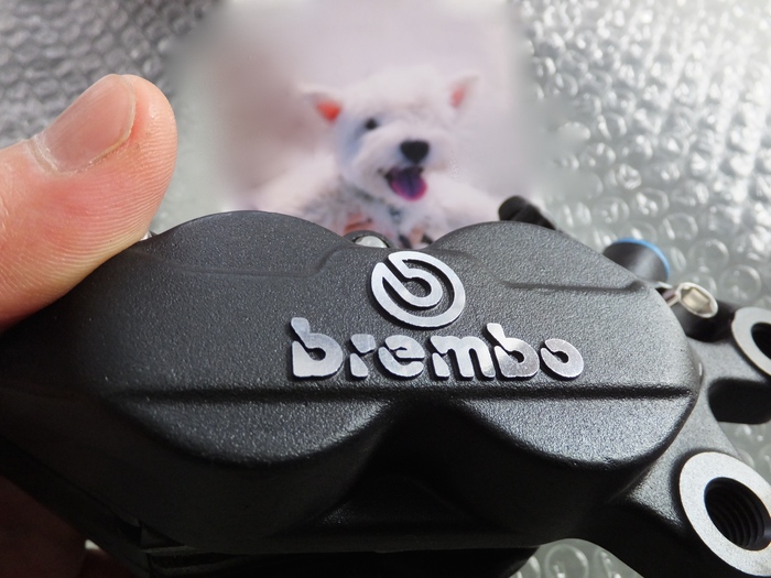 brembo_c0226202_1527312.jpg