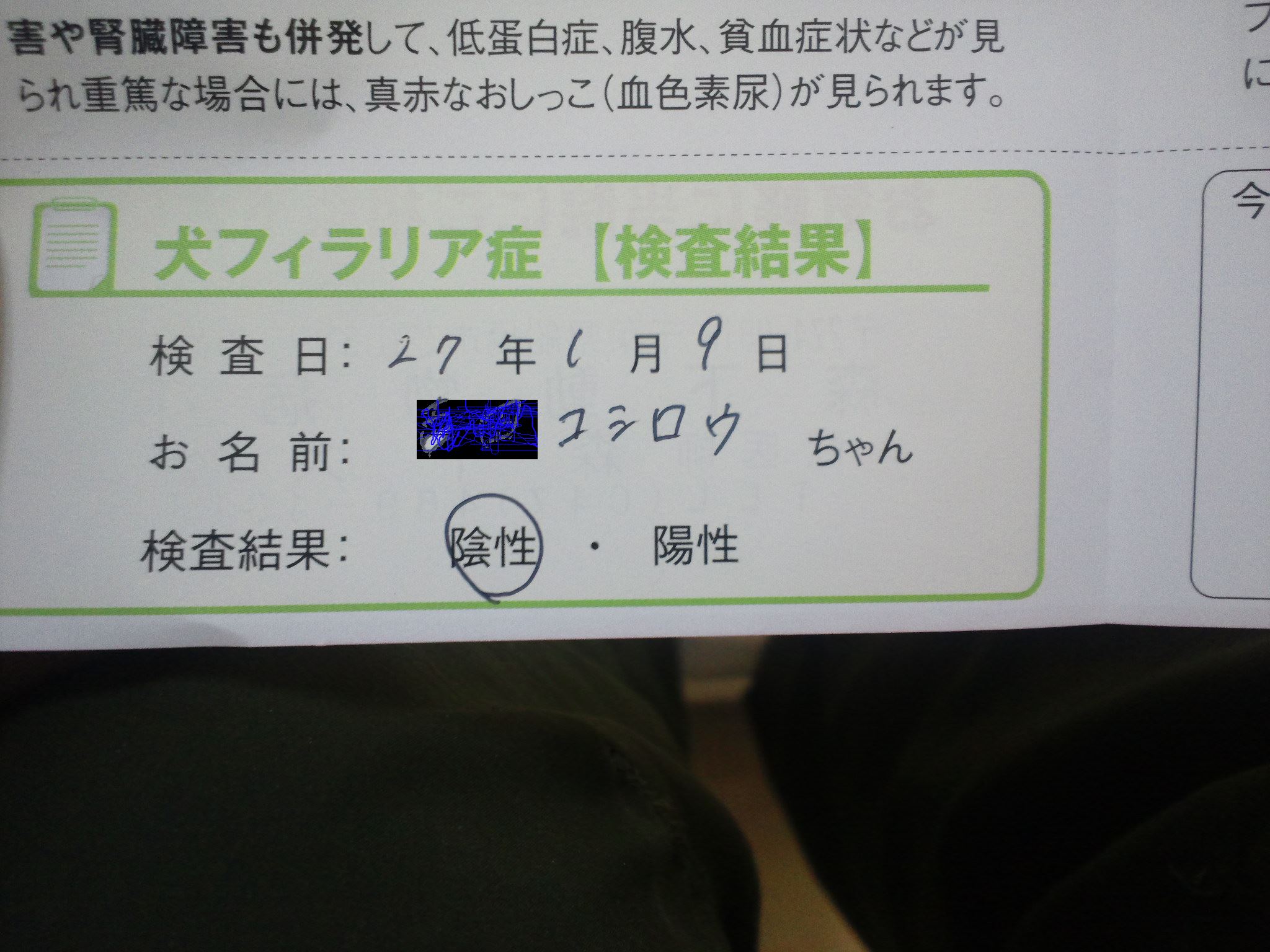 陽から陰へ(こしろう)_f0242002_185456.jpg
