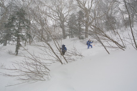 c0242406_15482635.jpg