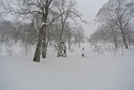 c0242406_15485851.jpg