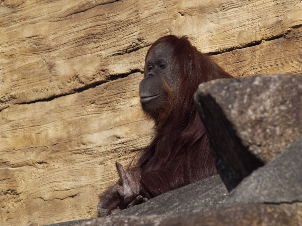 a0021110_941757.jpg