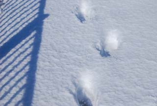 f0000211_200423.jpg