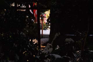 f0000211_2021011.jpg