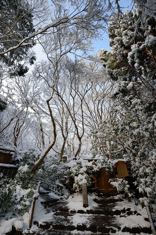 2015京の雪景色@祇王寺_f0032011_19401662.jpg