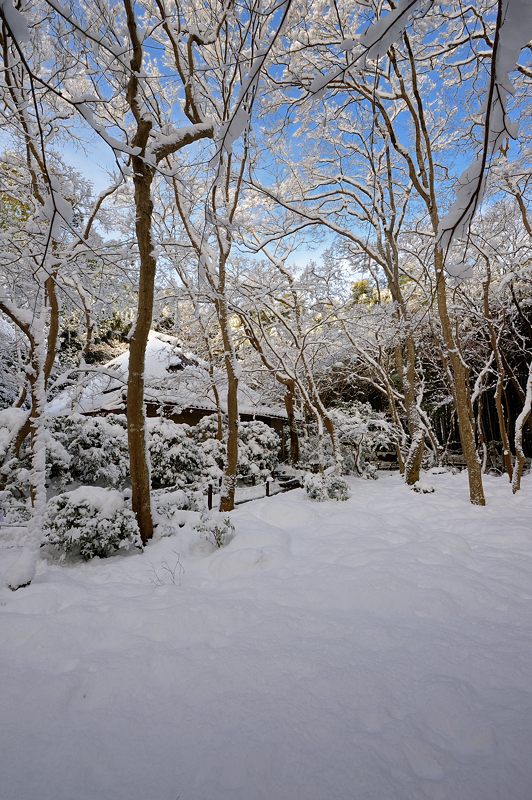 2015京の雪景色@祇王寺_f0032011_1940438.jpg