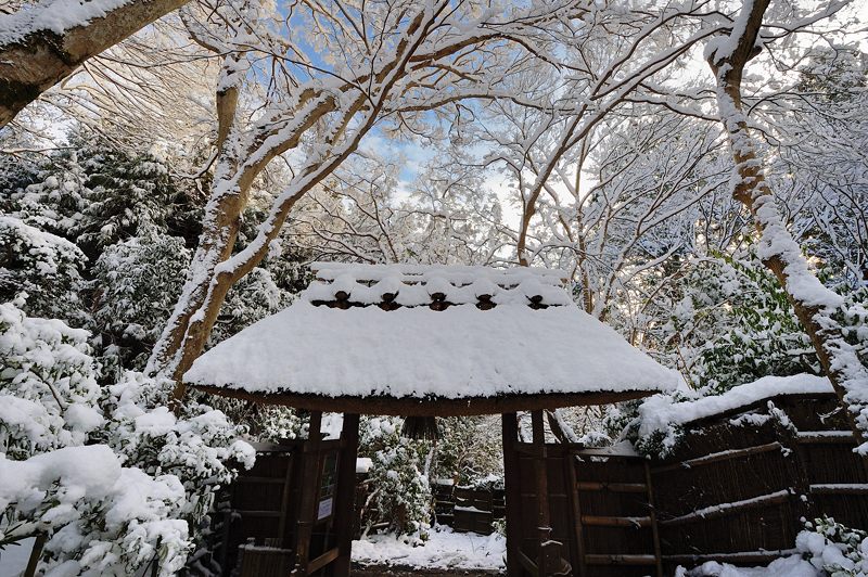 2015京の雪景色@祇王寺_f0032011_19405923.jpg