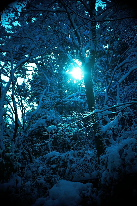 2015京の雪景色@祇王寺_f0032011_19412288.jpg