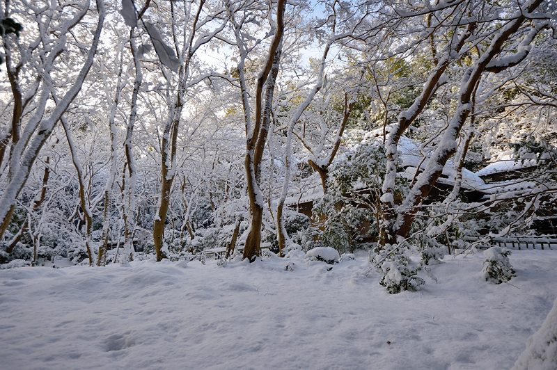 2015京の雪景色@祇王寺_f0032011_19414363.jpg