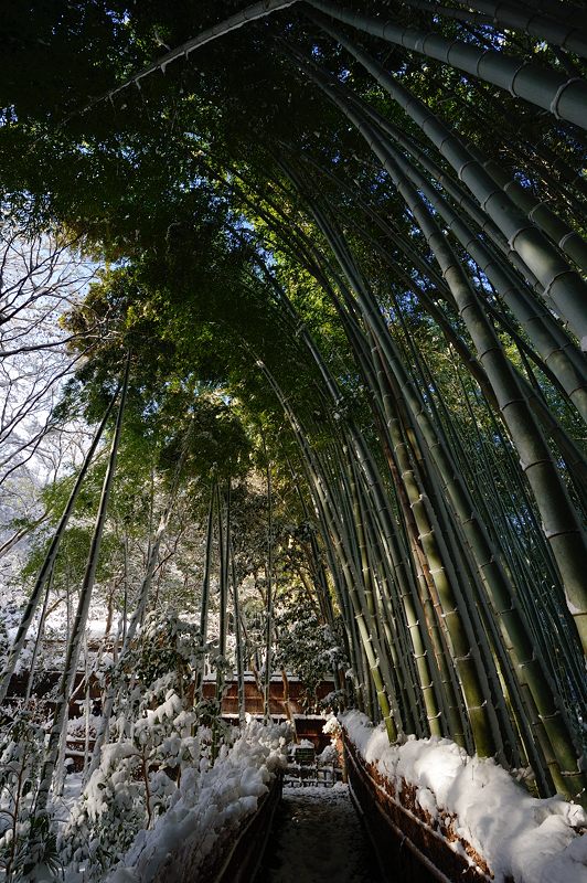 2015京の雪景色@祇王寺_f0032011_19421665.jpg