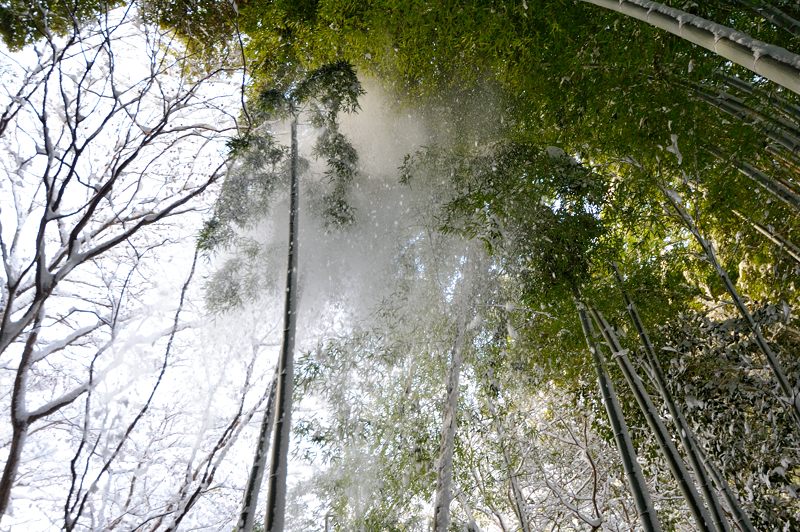 2015京の雪景色@祇王寺_f0032011_19422592.jpg