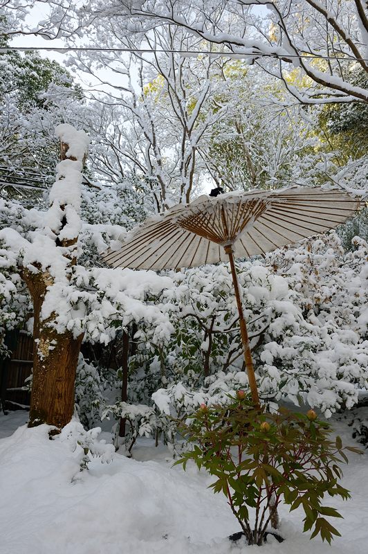 2015京の雪景色@祇王寺_f0032011_19431653.jpg