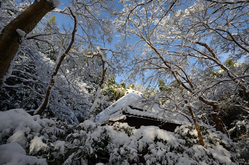 2015京の雪景色@祇王寺_f0032011_1943271.jpg