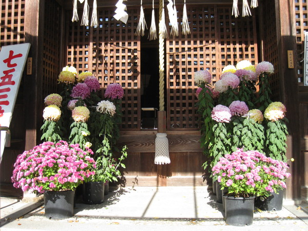 御坂神社（みさかじんじゃ、兵庫県三木市）_d0287413_1062728.jpg