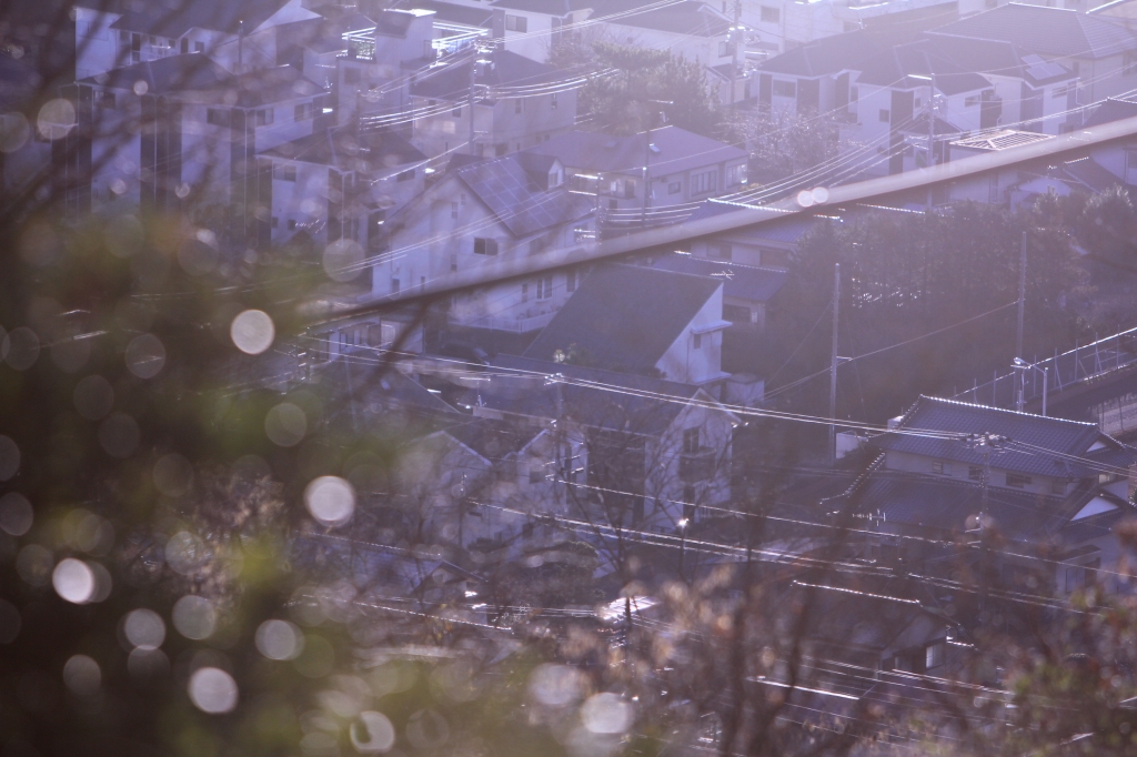 富士山の見える公園　その２_d0002320_626473.jpg