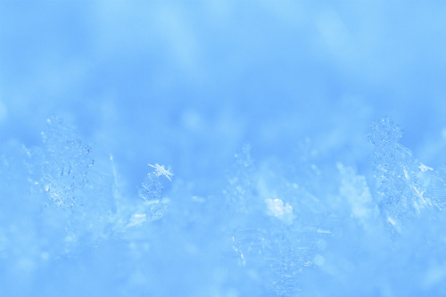 f0245725_21485840.jpg
