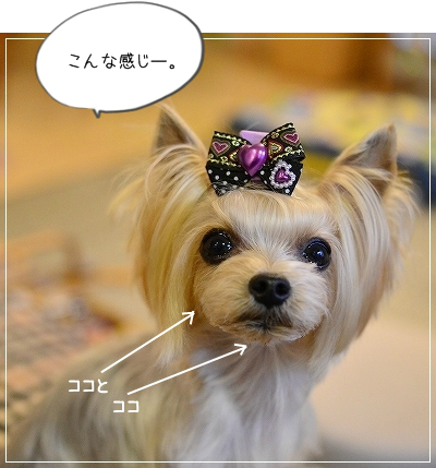 d0179828_19371248.png