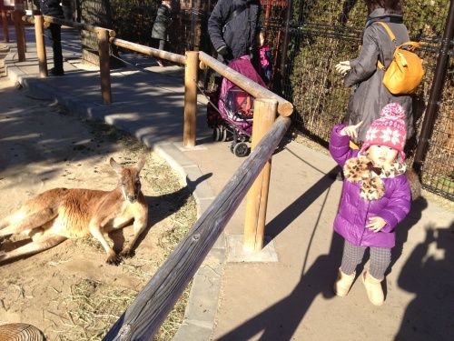 じじばばと東武動物公園へ！_b0132630_13470798.jpg