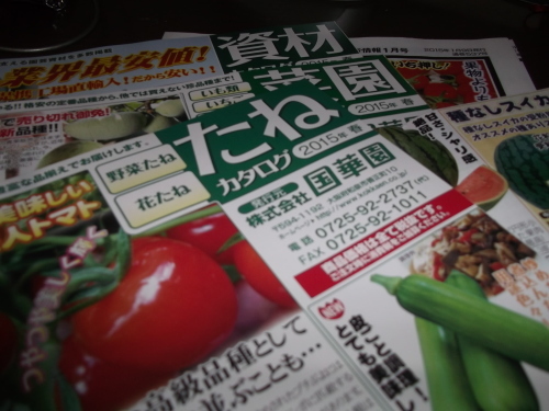 雨の日は..夏野菜の種選び!_b0137932_11581240.jpg