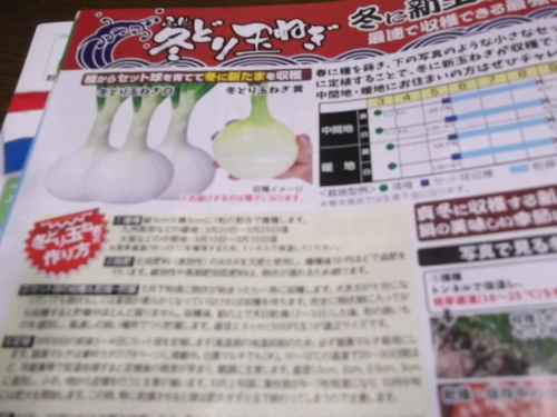 雨の日は..夏野菜の種選び!_b0137932_11583286.jpg
