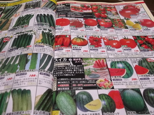 雨の日は..夏野菜の種選び!_b0137932_11583912.jpg