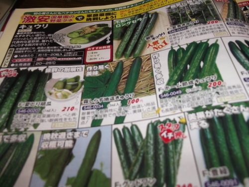 雨の日は..夏野菜の種選び!_b0137932_11584713.jpg