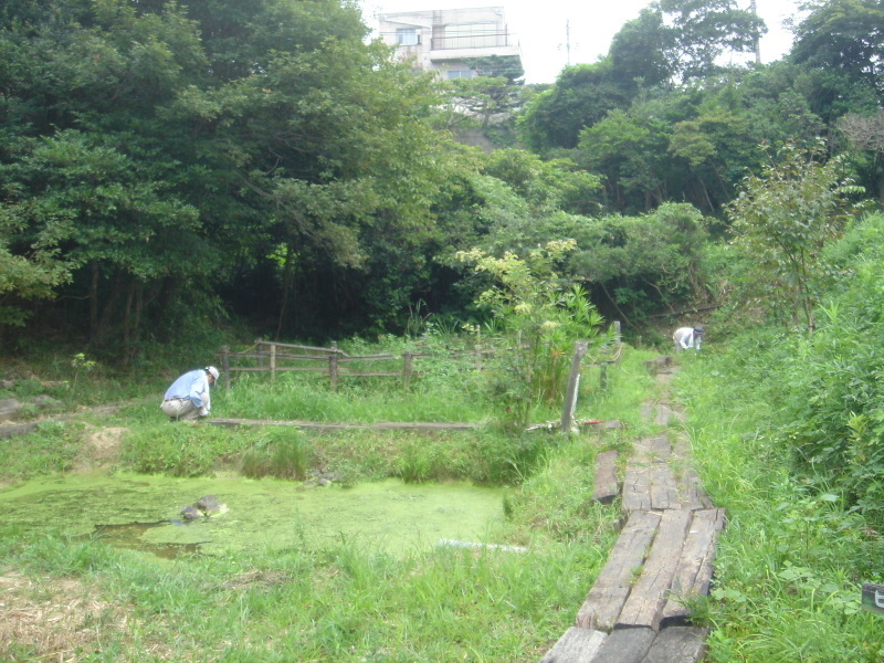 c0108460_20512755.jpg
