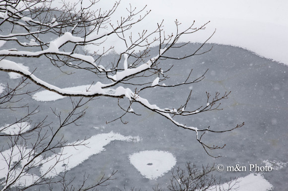 雪化粧_e0321360_23584969.jpg