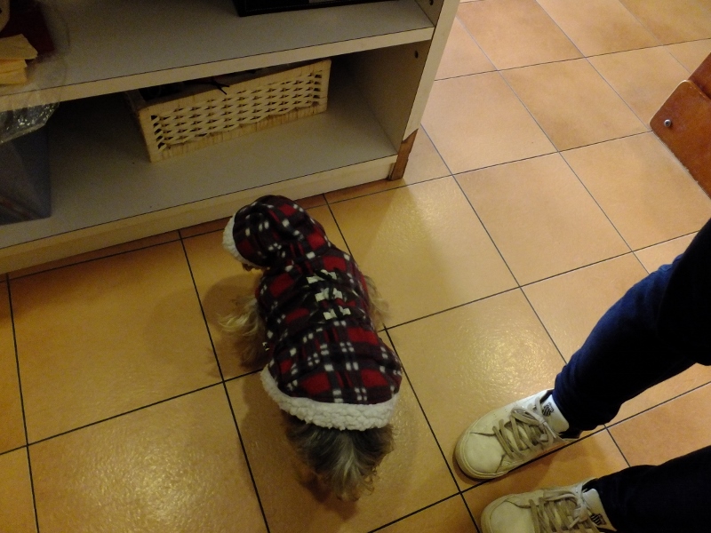 d0080269_14555251.jpg