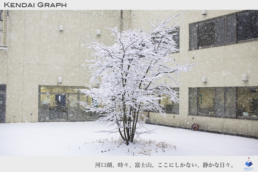 snow_b0343790_14242852.jpg