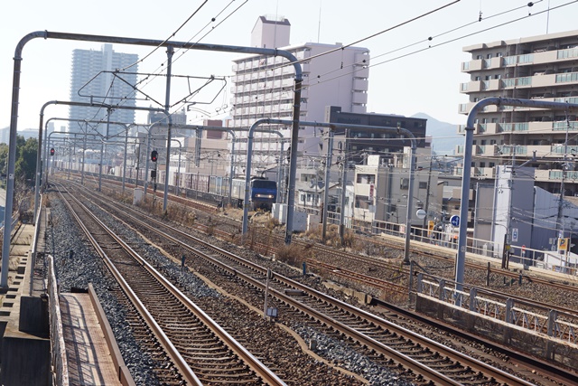 貨物列車 桃太郎 の魅力頑丈な車体に可愛い絵文字 藤田八束の日記