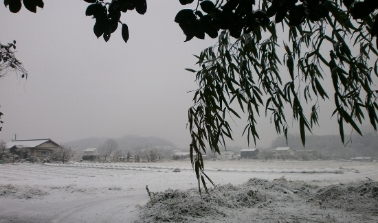 d0000995_22912.jpg
