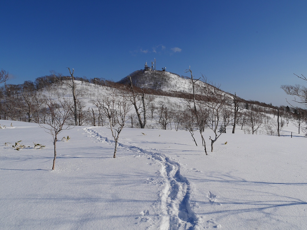  750m台地と紋別岳、1月14日_f0138096_1154241.jpg