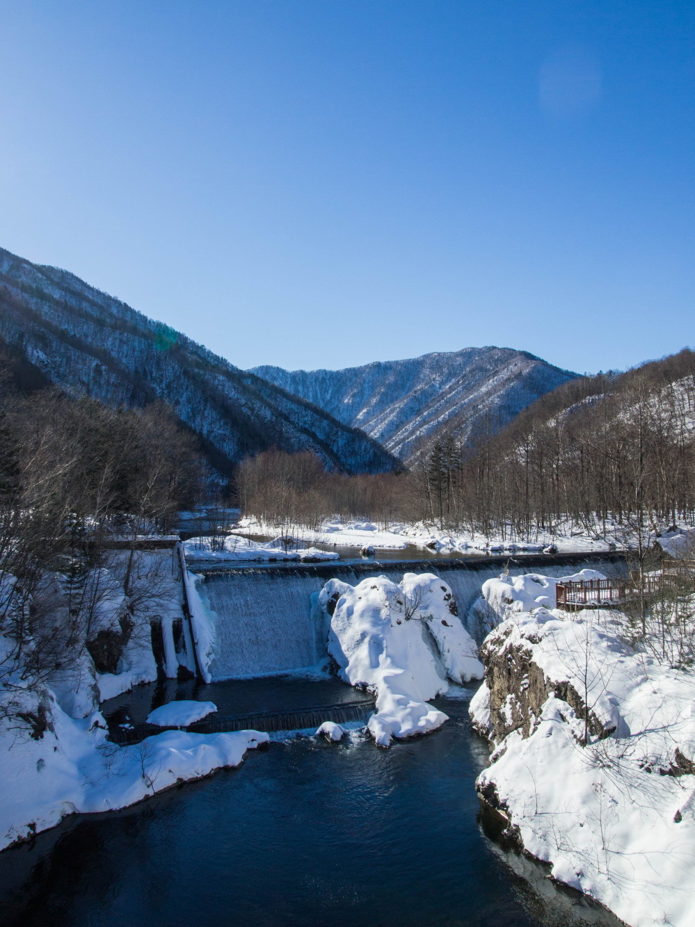 f0276498_11494556.jpg