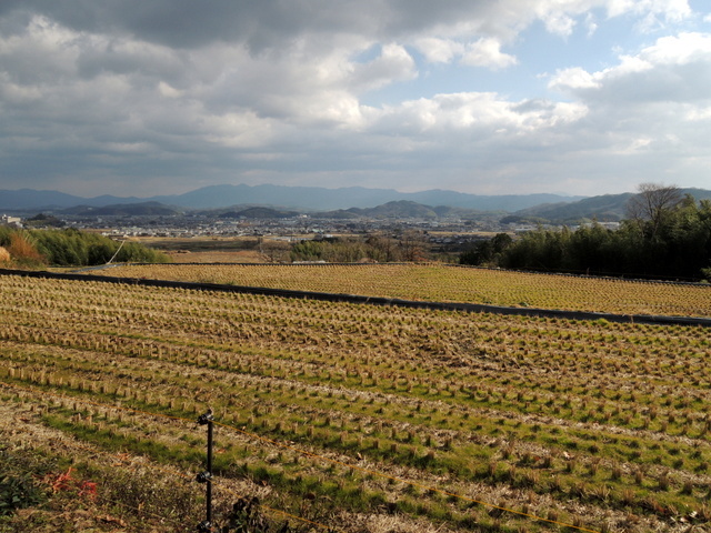 f0326399_10485965.jpg
