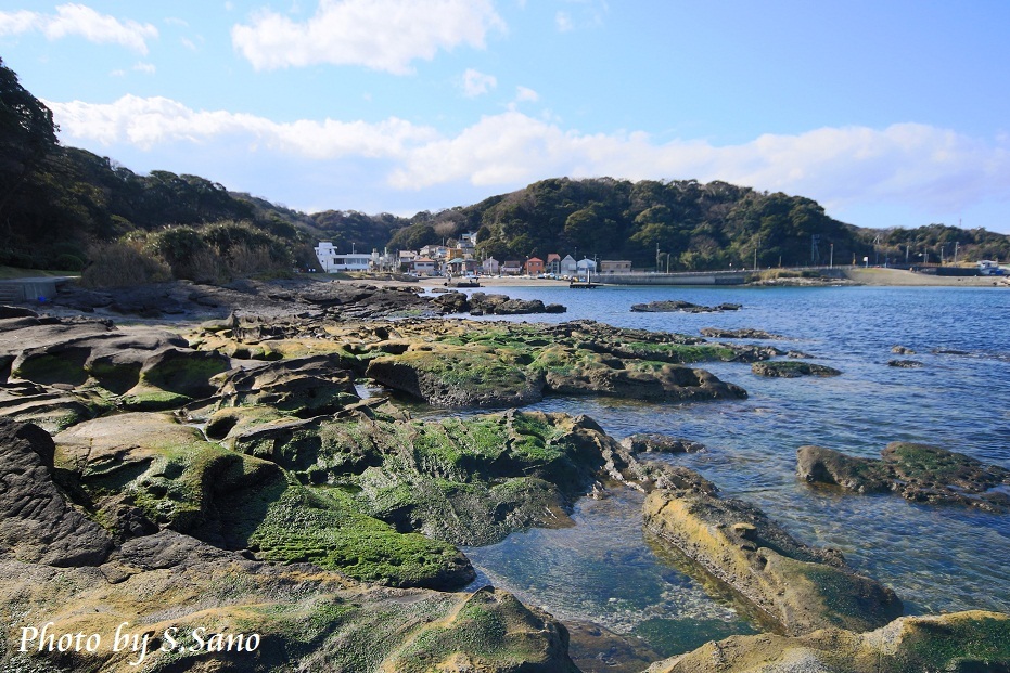 観音崎(2015年1月)_b0348205_23400254.jpg