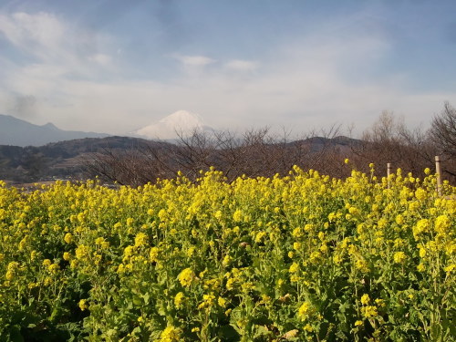 b0137932_20113618.jpg