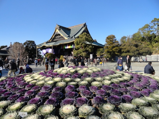 成田山新勝寺_f0238932_16504697.jpg