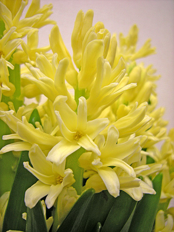 a0245136_9353232.png