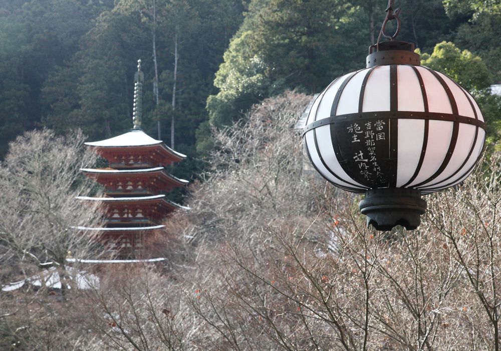 桜井市　長谷寺　五重塔に雪_c0108146_21433787.jpg