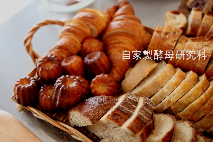 自家製天然酵母ぱん・プロフェッシャルレッスン_c0162653_15333545.jpg