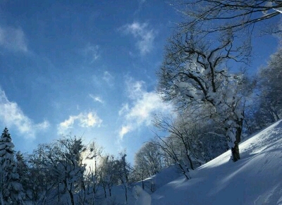 c0164354_1435978.jpg