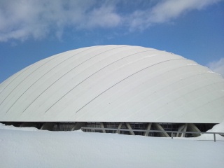 c0248067_9482.jpg