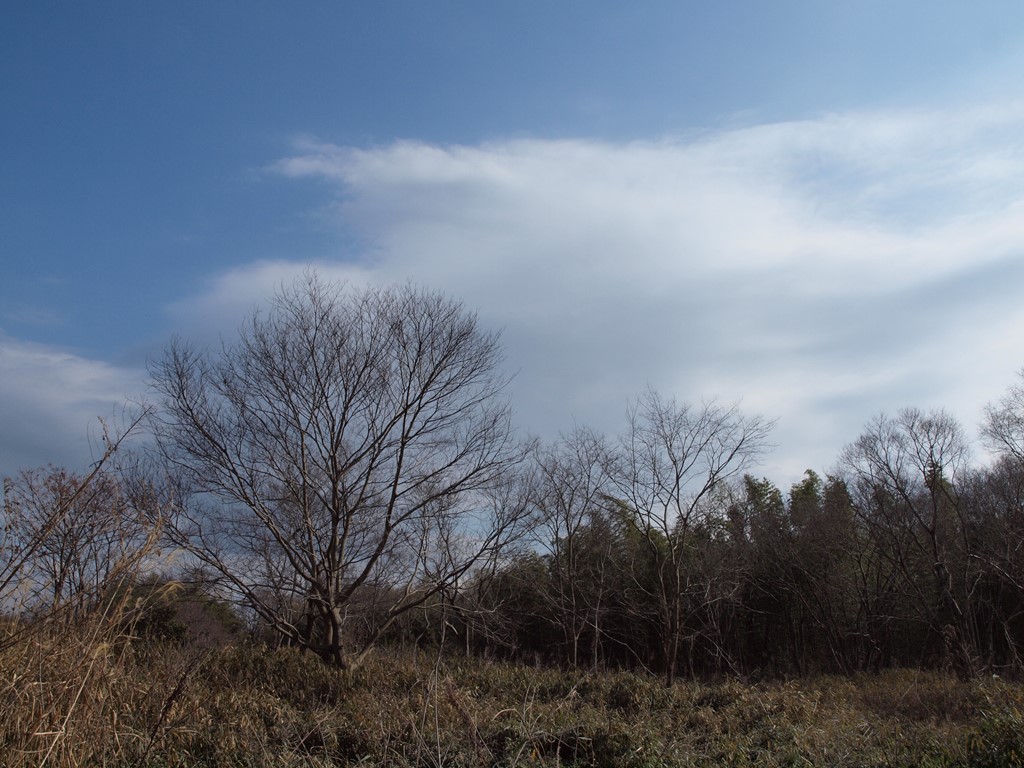 『かさだ広場の周遊園路を歩きながら・・・・・』_d0054276_20132526.jpg