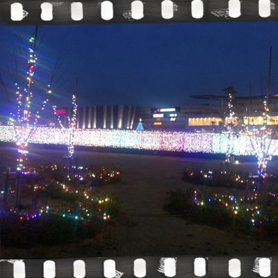c0228778_8441066.jpg